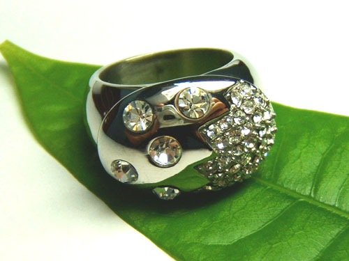 ��ָ